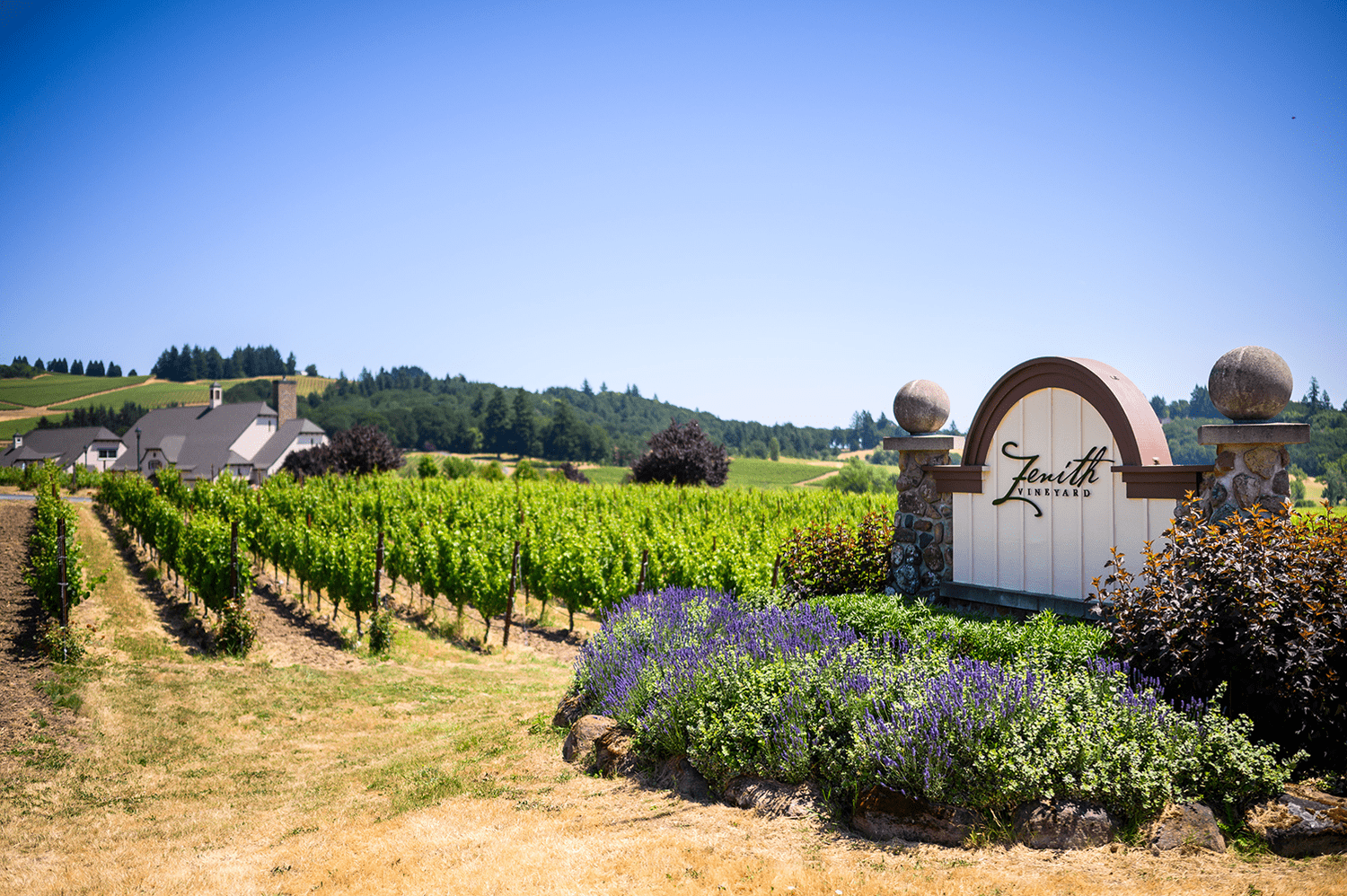 The Venue for Winery Weddings & Events — Zenith Vineyard